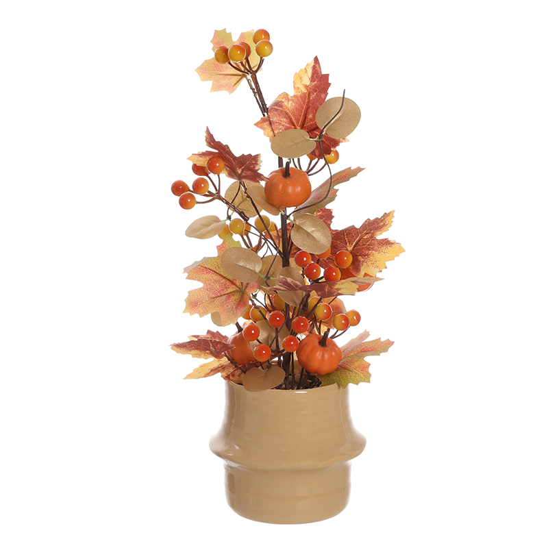 Harvest Festival Potted Pumpkin