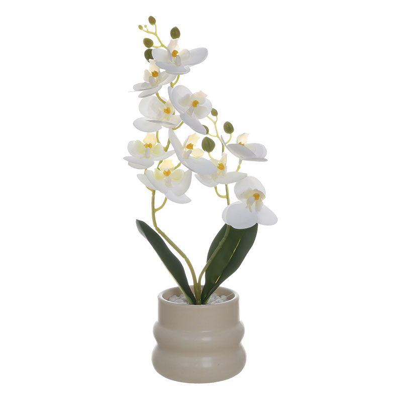 Artificial Phalaenopsis Orchid Plant with Ceramic Vase