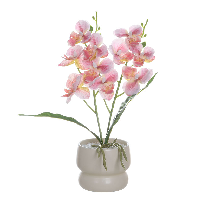 Artificial Phalaenopsis Orchid Plant with Ceramic Vase