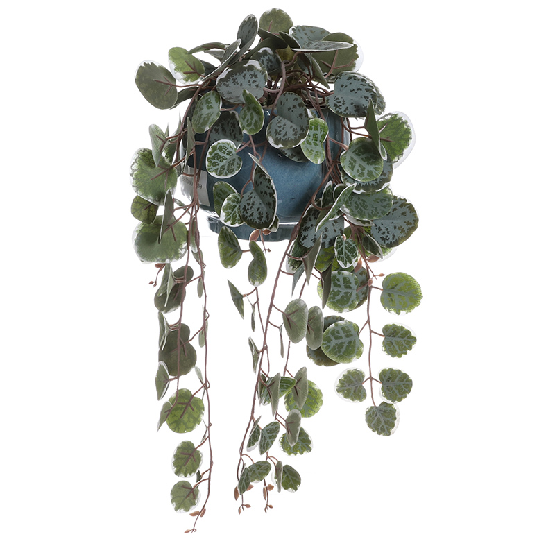 Artificial String of Hearts Plant with Ceramic Pot