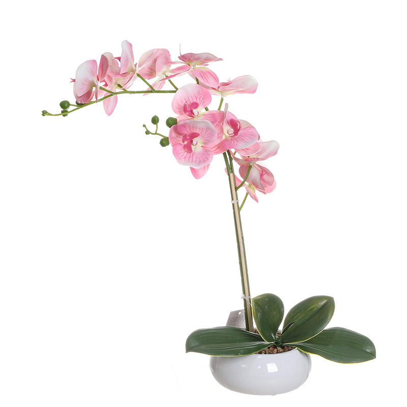Artificial Phalaenopsis Orchid Plant with Ceramic Vase