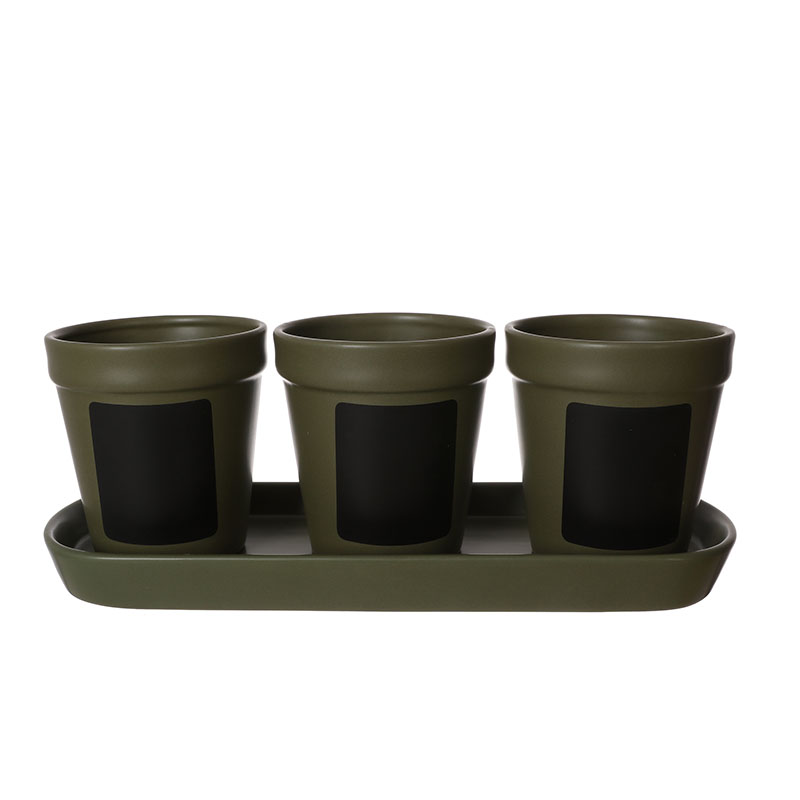 3-Pack Herb Planter Set with Tray